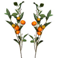 Honey Tangerine Branch Stem - Che Cose Belle
