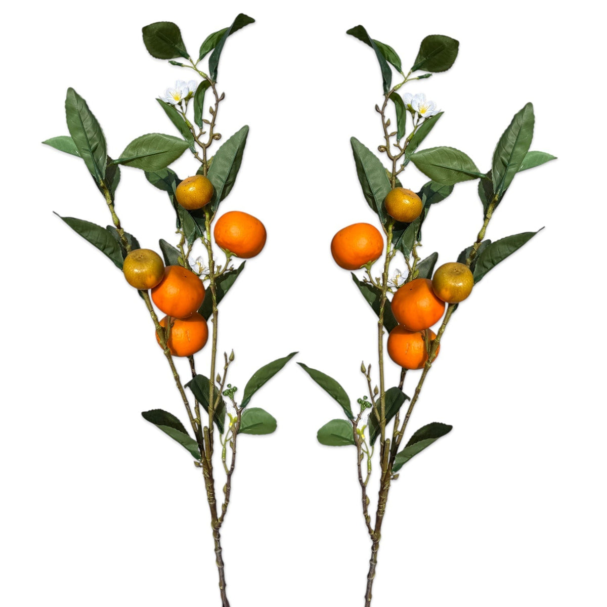 Honey Tangerine Branch Stem - Che Cose Belle