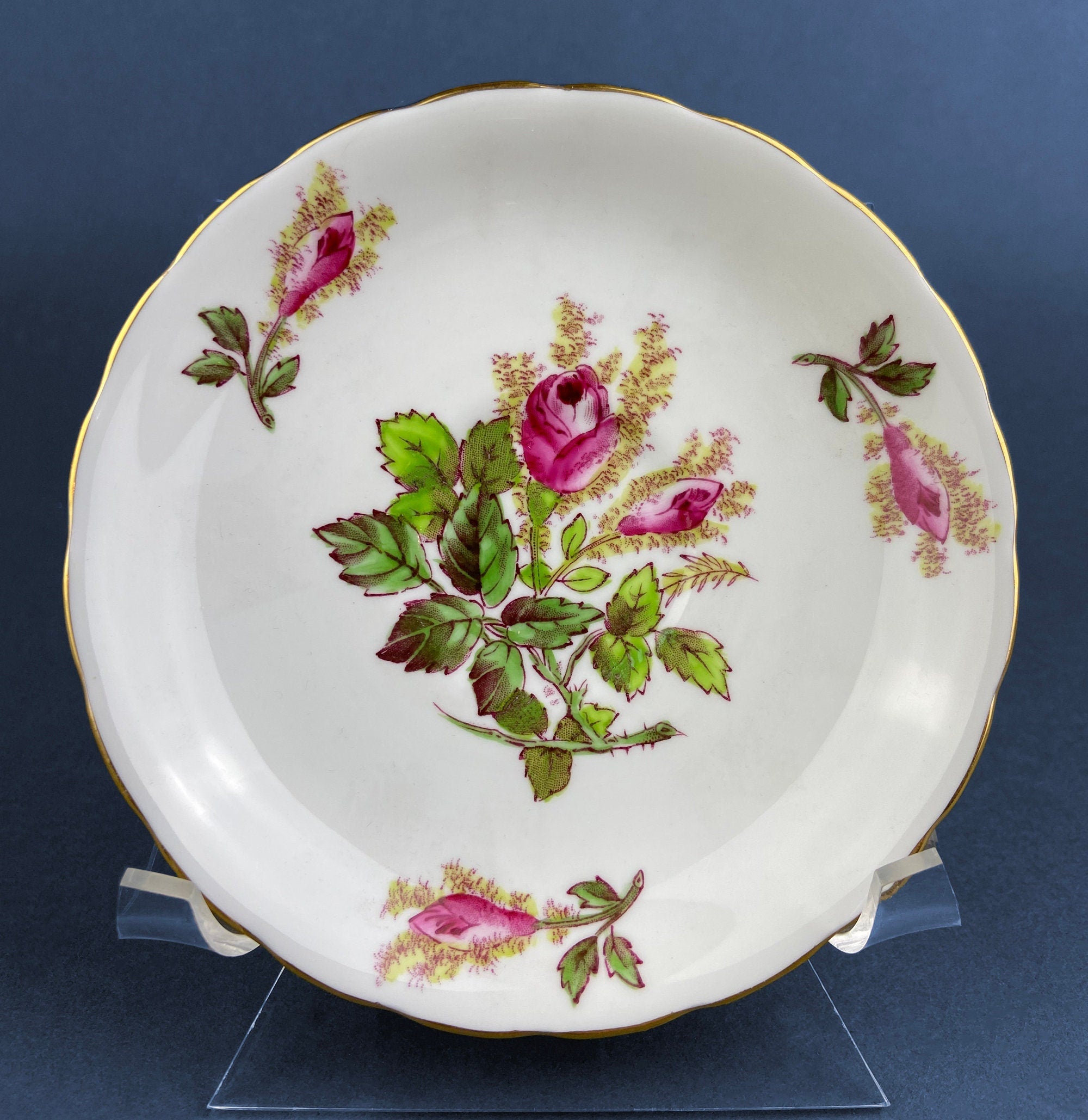 Vintage Royal Chelsey Moss Rose Tea Cup and Saucer, English Bone China