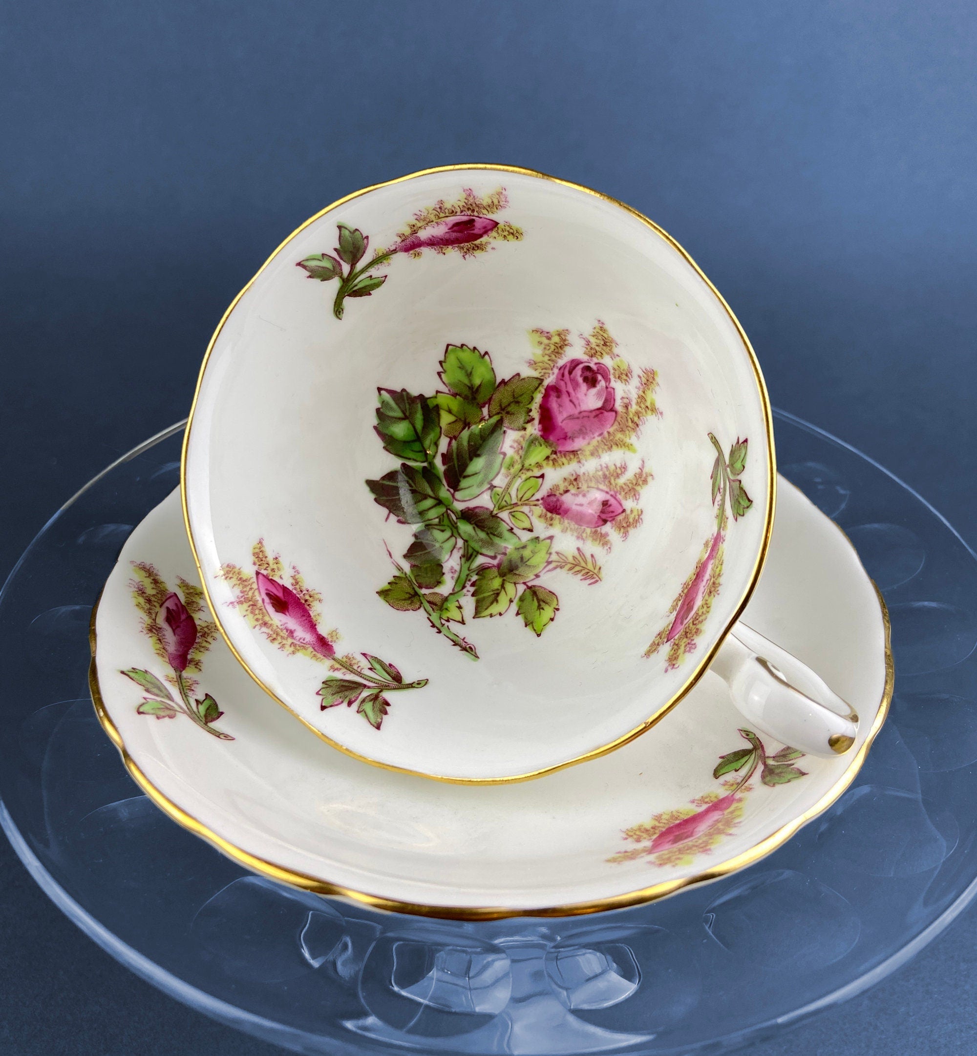 Vintage Royal Chelsey Moss Rose Tea Cup and Saucer, English Bone China