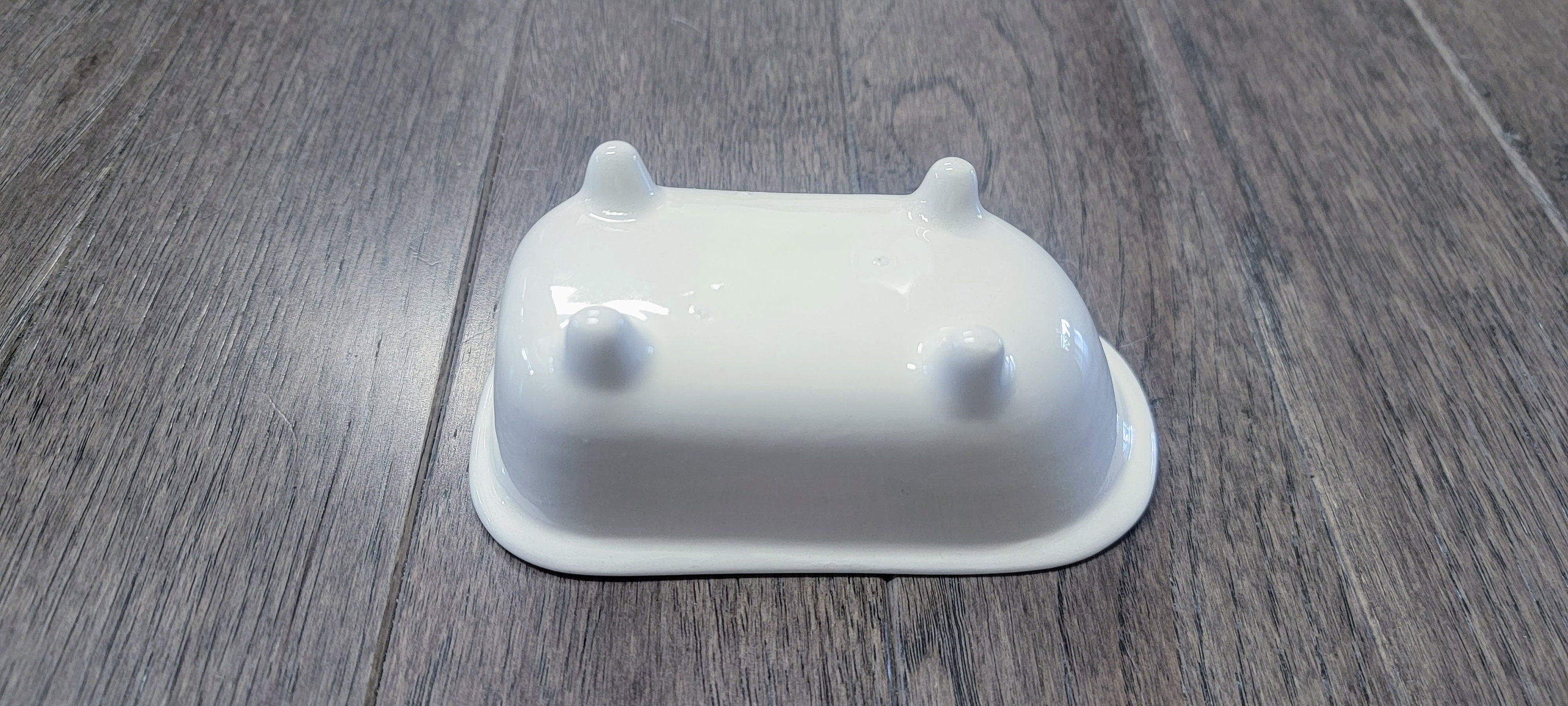 Small Bathtub Planter