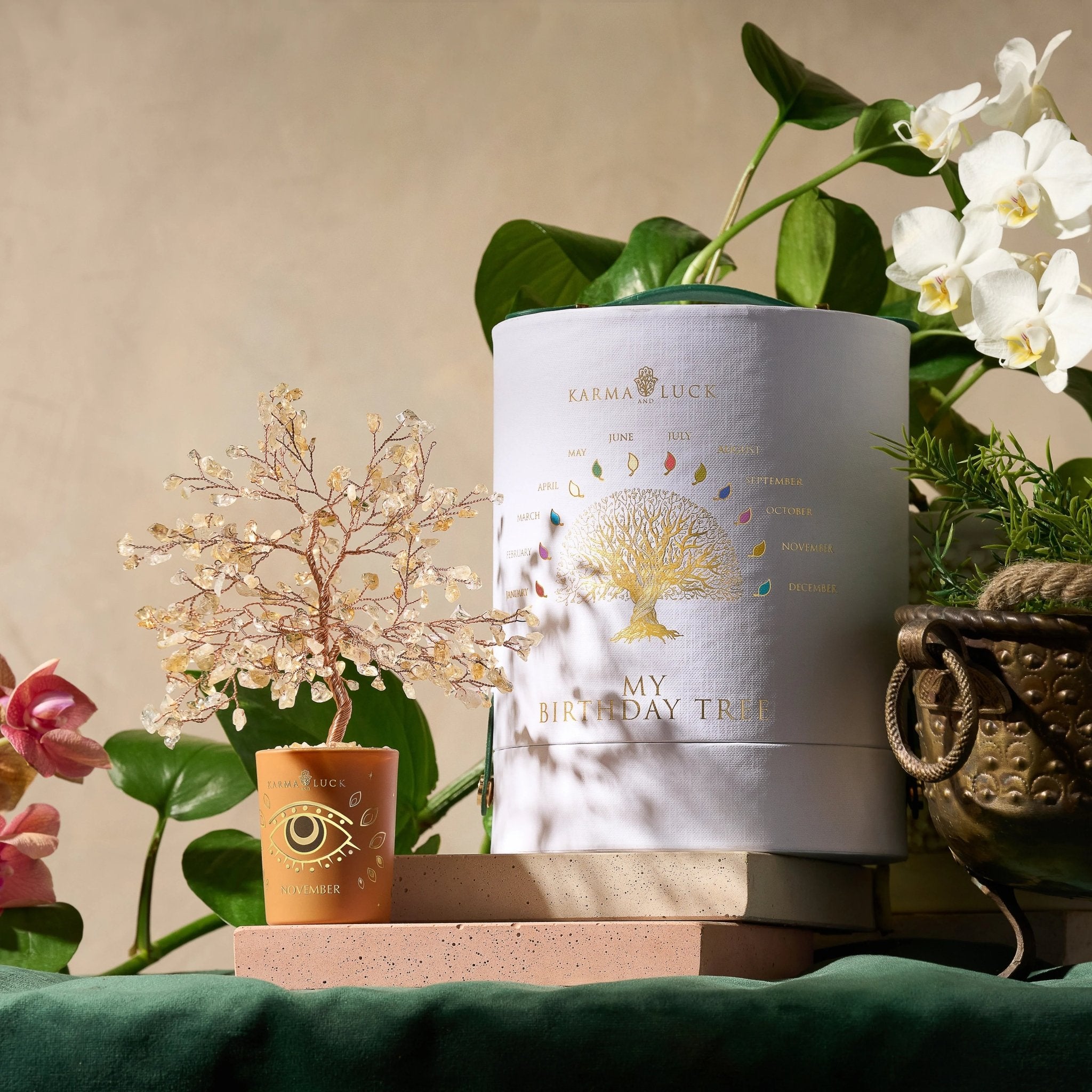 Illuminated Path Citrine November Birthday Tree - Che Cose Belle