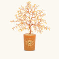 Illuminated Path Citrine November Birthday Tree - Che Cose Belle