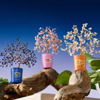Illuminated Path Citrine November Birthday Tree - Che Cose Belle