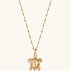 Intuitive Wisdom - Multi Symbol Chakra Turtle Necklace - Che Cose Belle