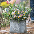Iron Carry Flower Pot Gray Sweet Home - Che Cose Belle