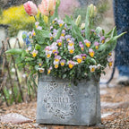 Iron Carry Flower Pot Gray Sweet Home - Che Cose Belle