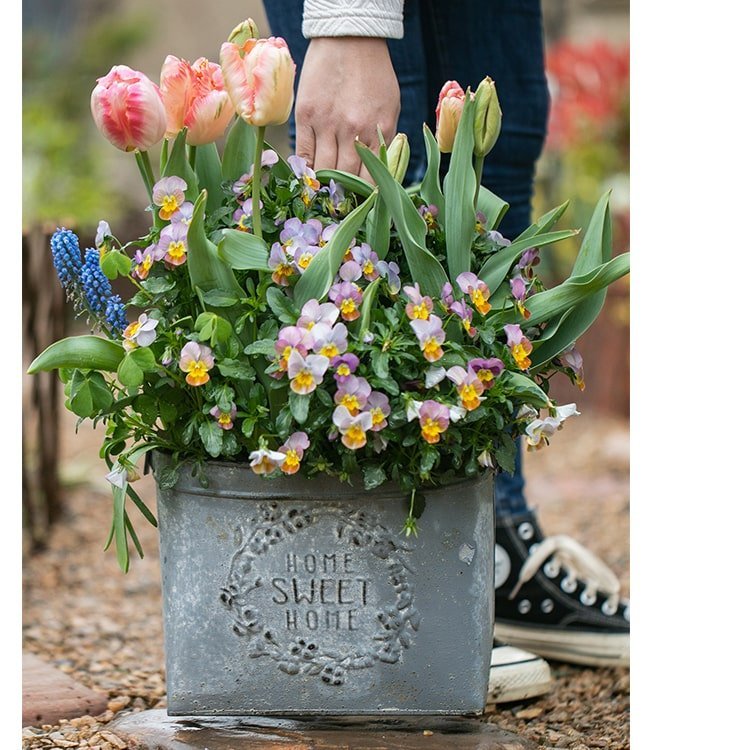 Iron Carry Flower Pot Gray Sweet Home - Che Cose Belle
