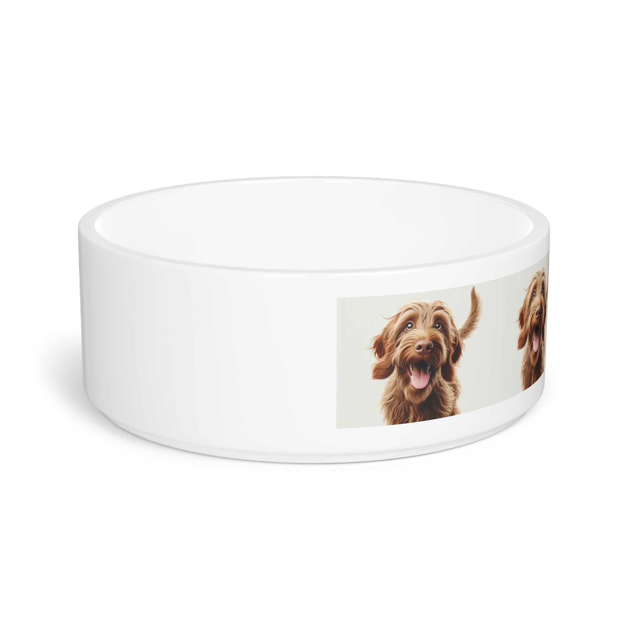 Italian Spinone Pet Bowl - Che Cose Belle