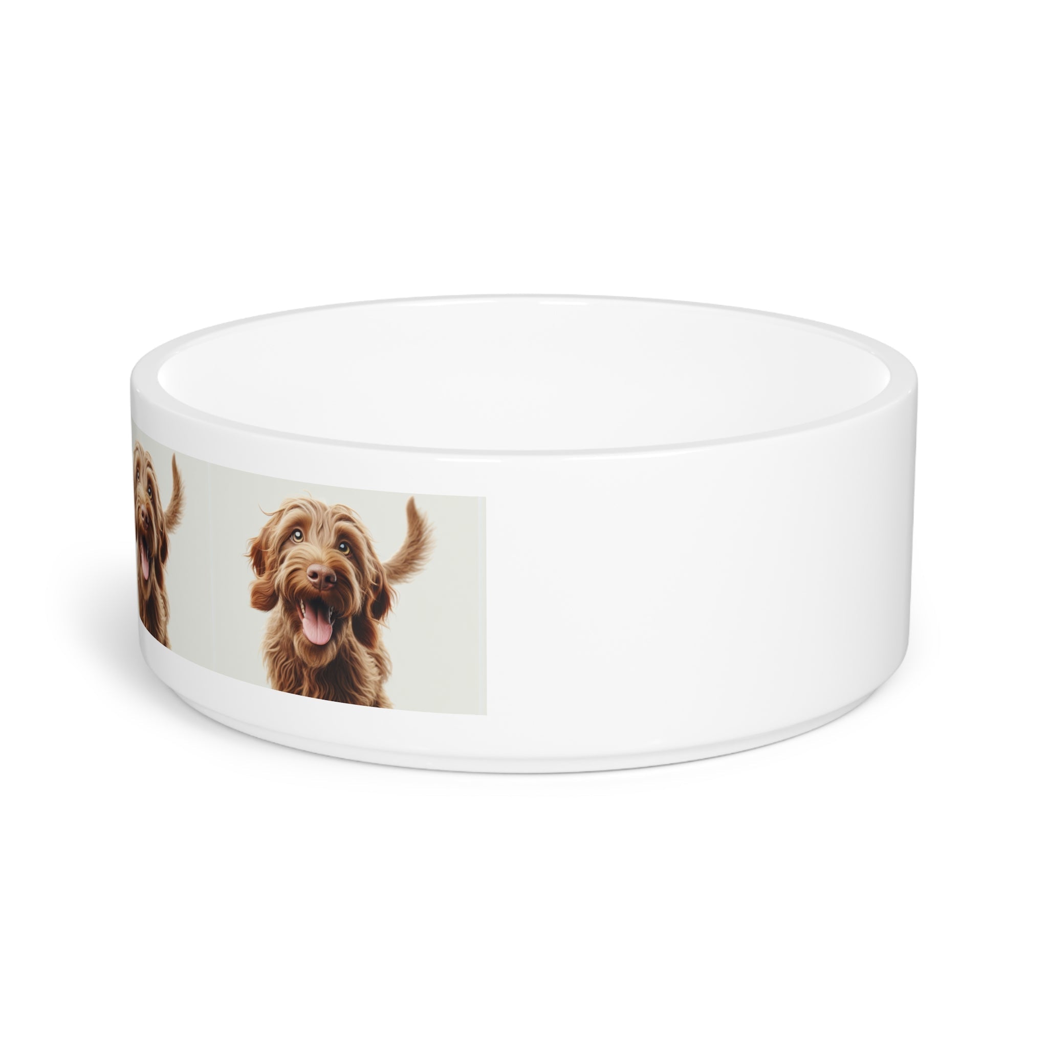 Italian Spinone Pet Bowl - Che Cose Belle