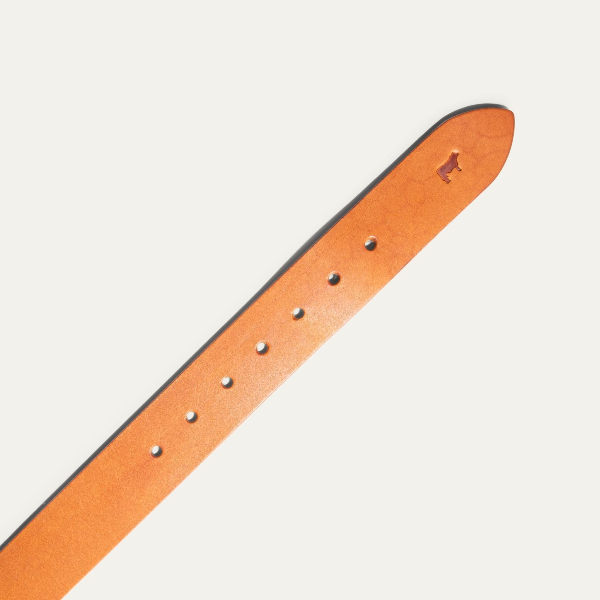 Jelly Bean Belt - Che Cose Belle