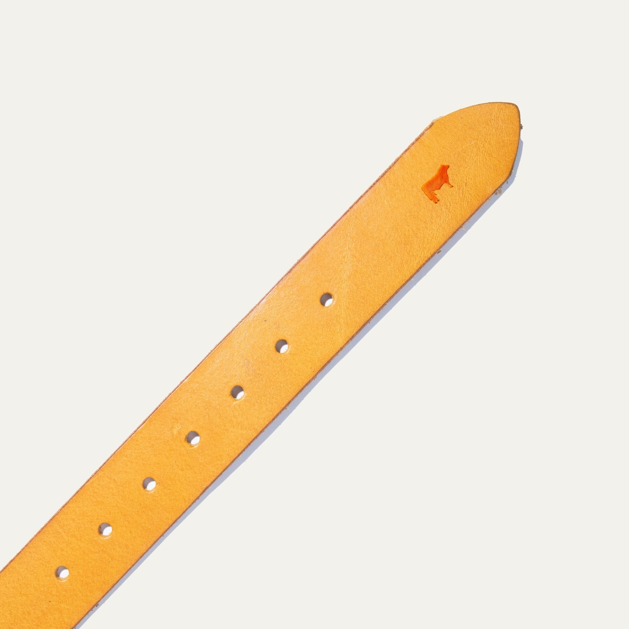 Jelly Bean Belt - Che Cose Belle