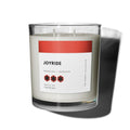 Joyride, Honeysuckle + Sandalwood 11oz Candle - Che Cose Belle