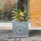 Kante Square Lion Head Concrete Planter, Classic English Style Plant Pot with Drainage Hole and Rubber Plug for Indoor Outdoor Garden Patio Home, 10.2"x10.2"x 10.2" Antique Gray - Che Cose Belle