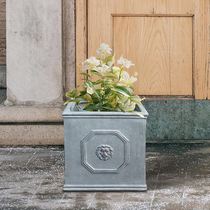 Kante Square Lion Head Concrete Planter, Classic English Style Plant Pot with Drainage Hole and Rubber Plug for Indoor Outdoor Garden Patio Home, 10.2"x10.2"x 10.2" Antique Gray - Che Cose Belle