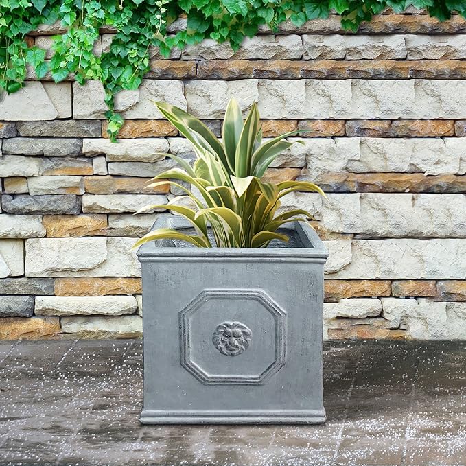 Kante Square Lion Head Concrete Planter, Classic English Style Plant Pot with Drainage Hole and Rubber Plug for Indoor Outdoor Garden Patio Home, 10.2"x10.2"x 10.2" Antique Gray - Che Cose Belle