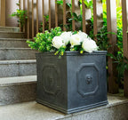 Kante Square Lion Head Concrete Planter, Classic English Style Plant Pot with Drainage Hole and Rubber Plug for Indoor Outdoor Garden Patio Home, 10.2"x10.2"x 10.2" Antique Gray - Che Cose Belle