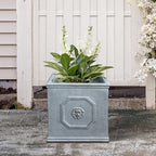 Kante Square Lion Head Concrete Planter, Classic English Style Plant Pot with Drainage Hole and Rubber Plug for Indoor Outdoor Garden Patio Home, 10.2"x10.2"x 10.2" Antique Gray - Che Cose Belle