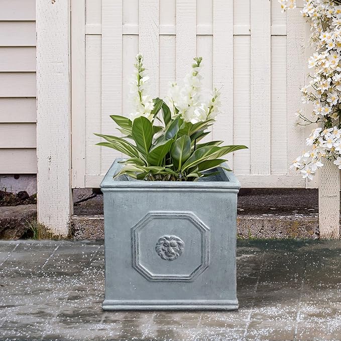 Kante Square Lion Head Concrete Planter, Classic English Style Plant Pot with Drainage Hole and Rubber Plug for Indoor Outdoor Garden Patio Home, 10.2"x10.2"x 10.2" Antique Gray - Che Cose Belle
