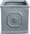 Kante Square Lion Head Concrete Planter, Classic English Style Plant Pot with Drainage Hole and Rubber Plug for Indoor Outdoor Garden Patio Home, 12.6"x12.6"x12.6" Antique Gray - Che Cose Belle