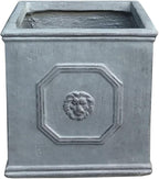 Kante Square Lion Head Concrete Planter, Classic English Style Plant Pot with Drainage Hole and Rubber Plug for Indoor Outdoor Garden Patio Home, 12.6"x12.6"x12.6" Antique Gray - Che Cose Belle