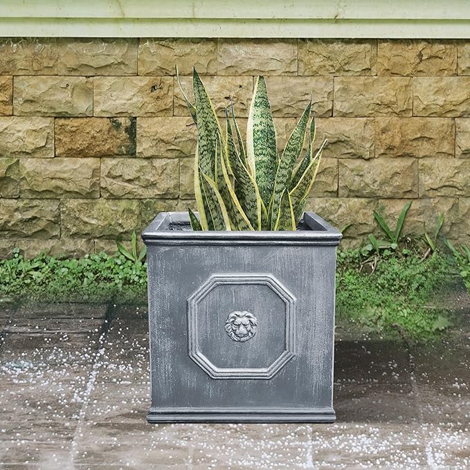 Kante Square Lion Head Concrete Planter, Classic English Style Plant Pot with Drainage Hole and Rubber Plug for Indoor Outdoor Garden Patio Home, 12.6"x12.6"x12.6" Antique Gray - Che Cose Belle