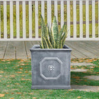 Kante Square Lion Head Concrete Planter, Classic English Style Plant Pot with Drainage Hole and Rubber Plug for Indoor Outdoor Garden Patio Home, 12.6"x12.6"x12.6" Antique Gray - Che Cose Belle