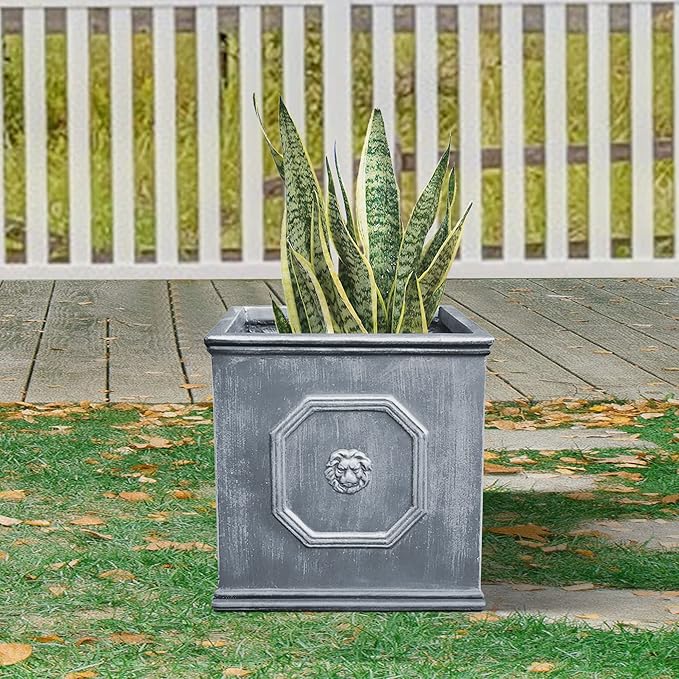 Kante Square Lion Head Concrete Planter, Classic English Style Plant Pot with Drainage Hole and Rubber Plug for Indoor Outdoor Garden Patio Home, 12.6"x12.6"x12.6" Antique Gray - Che Cose Belle