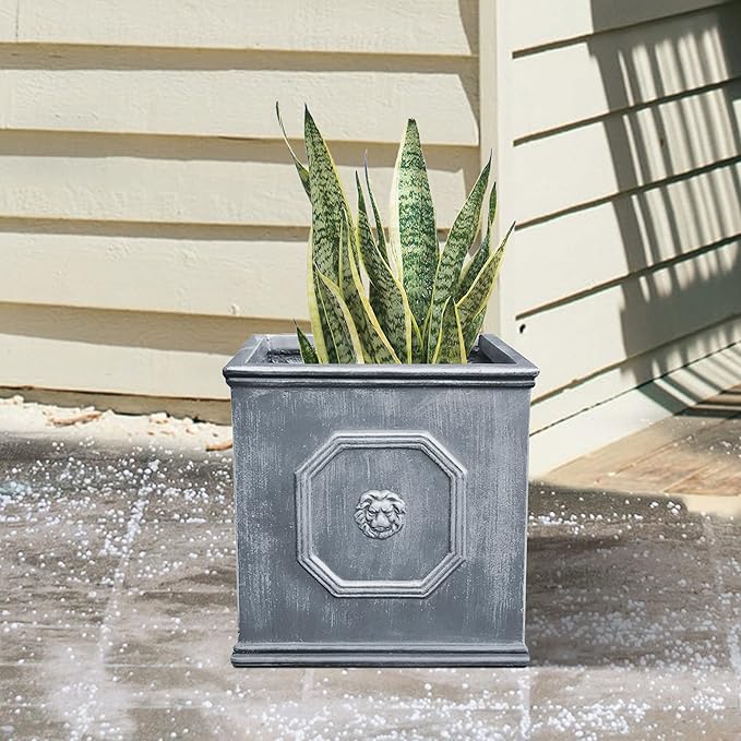 Kante Square Lion Head Concrete Planter, Classic English Style Plant Pot with Drainage Hole and Rubber Plug for Indoor Outdoor Garden Patio Home, 12.6"x12.6"x12.6" Antique Gray - Che Cose Belle