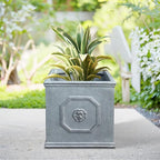 Kante Square Lion Head Concrete Planter, Classic English Style Plant Pot with Drainage Hole and Rubber Plug for Indoor Outdoor Garden Patio Home, 12.6"x12.6"x12.6" Gravel Gray - Che Cose Belle