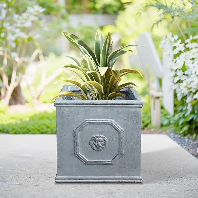 Kante Square Lion Head Concrete Planter, Classic English Style Plant Pot with Drainage Hole and Rubber Plug for Indoor Outdoor Garden Patio Home, 12.6"x12.6"x12.6" Gravel Gray - Che Cose Belle