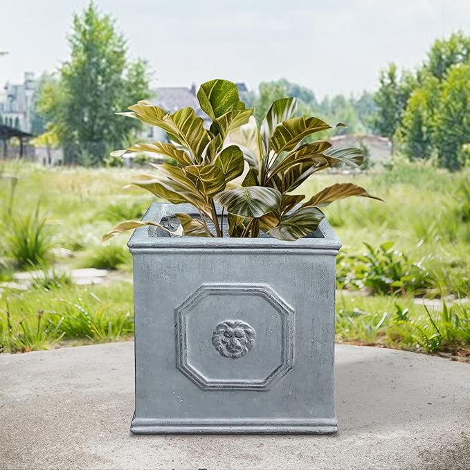 Kante Square Lion Head Concrete Planter, Classic English Style Plant Pot with Drainage Hole and Rubber Plug for Indoor Outdoor Garden Patio Home, 12.6"x12.6"x12.6" Gravel Gray - Che Cose Belle
