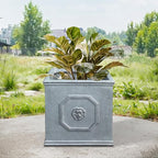 Kante Square Lion Head Concrete Planter, Classic English Style Plant Pot with Drainage Hole and Rubber Plug for Indoor Outdoor Garden Patio Home, 12.6"x12.6"x12.6" Gravel Gray - Che Cose Belle
