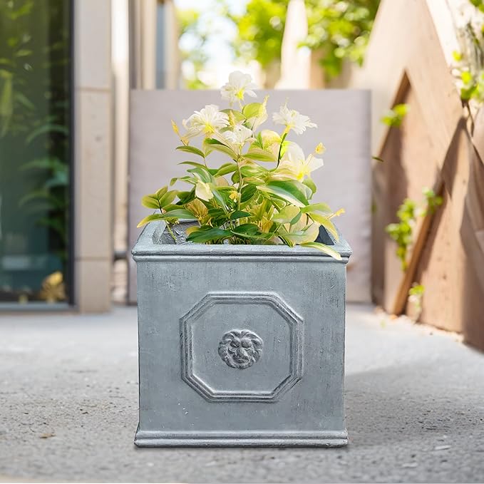 Kante Square Lion Head Concrete Planter, Classic English Style Plant Pot with Drainage Hole and Rubber Plug for Indoor Outdoor Garden Patio Home, 12.6"x12.6"x12.6" Gravel Gray - Che Cose Belle
