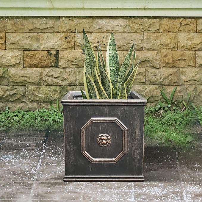 Kante Square Lion Head Concrete Planter, Classic English Style Plant Pot with Drainage Hole and Rubber Plug for Indoor Outdoor Garden Patio Home, 12.6"x12.6"x12.6" Metallic Chestnut - Che Cose Belle