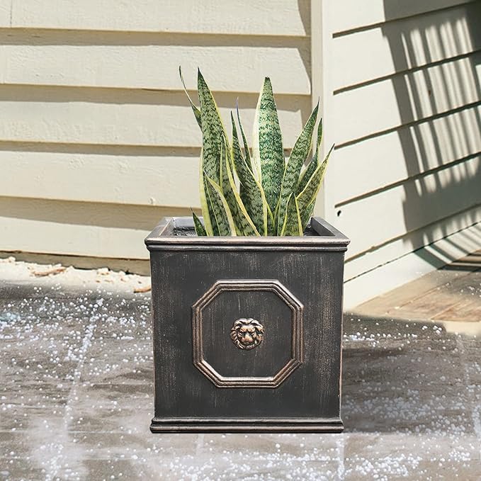 Kante Square Lion Head Concrete Planter, Classic English Style Plant Pot with Drainage Hole and Rubber Plug for Indoor Outdoor Garden Patio Home, 12.6"x12.6"x12.6" Oil Rubbed Bronze - Che Cose Belle