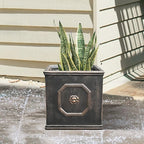 Kante Square Lion Head Concrete Planter, Classic English Style Plant Pot with Drainage Hole and Rubber Plug for Indoor Outdoor Garden Patio Home, 12.6"x12.6"x12.6" Oil Rubbed Bronze - Che Cose Belle
