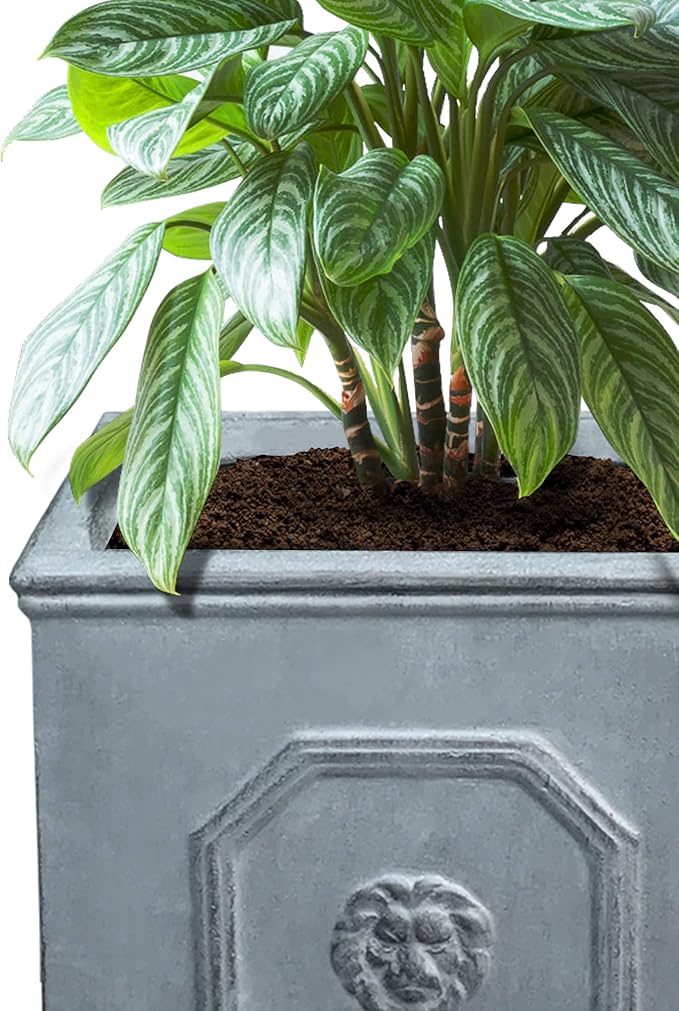 Kante Square Lion Head Concrete Planter Set of 2, Classic English Style Plant Pot with Drainage Hole and Rubber Plug for Indoor Outdoor, 10.2"x10.2"x10.2" and 12.6"x12.6"x12.6" Antique Gray - Che Cose Belle