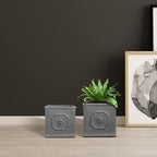 Kante Square Lion Head Concrete Planter Set of 2, Classic English Style Plant Pot with Drainage Hole and Rubber Plug for Indoor Outdoor, 10.2"x10.2"x10.2" and 12.6"x12.6"x12.6" Antique Gray - Che Cose Belle