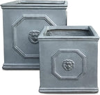 Kante Square Lion Head Concrete Planter Set of 2, Classic English Style Plant Pot with Drainage Hole and Rubber Plug for Indoor Outdoor, 10.2"x10.2"x10.2" and 12.6"x12.6"x12.6" Antique Gray - Che Cose Belle