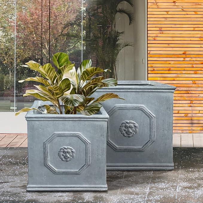 Kante Square Lion Head Concrete Planter Set of 2, Classic English Style Plant Pot with Drainage Hole and Rubber Plug for Indoor Outdoor, 10.2"x10.2"x10.2" and 12.6"x12.6"x12.6" Antique Gray - Che Cose Belle