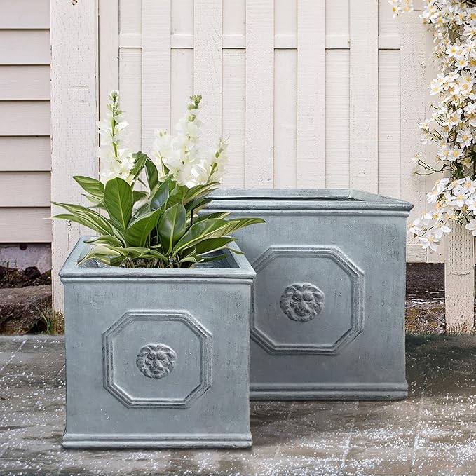 Kante Square Lion Head Concrete Planter Set of 2, Classic English Style Plant Pot with Drainage Hole and Rubber Plug for Indoor Outdoor, 10.2"x10.2"x10.2" and 12.6"x12.6"x12.6" Antique Gray - Che Cose Belle