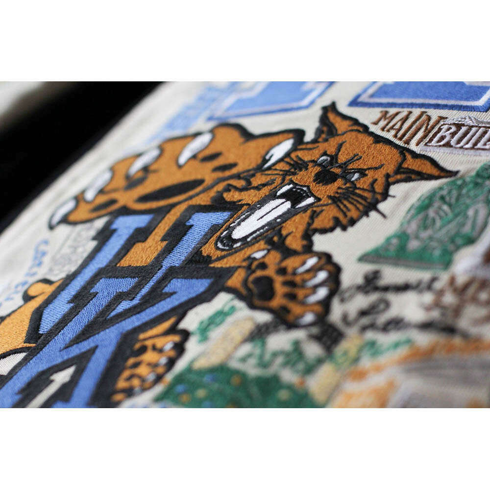 Kentucky, University of Collegiate Embroidered Pillow by CatStudio - Che Cose Belle