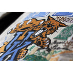 Kentucky, University of Collegiate Embroidered Pillow by CatStudio - Che Cose Belle