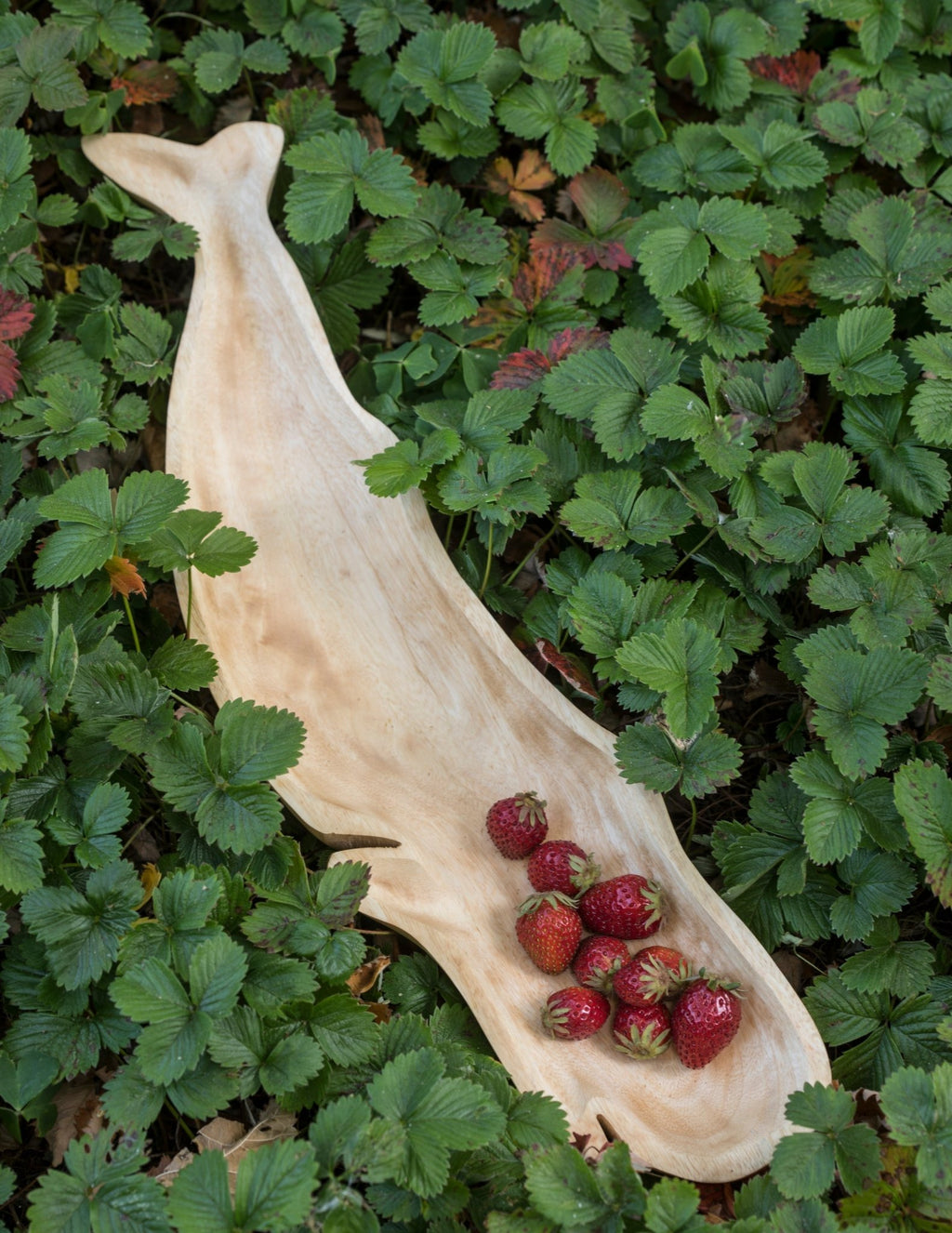 Kiln Mango Wood Whale Dish - Che Cose Belle