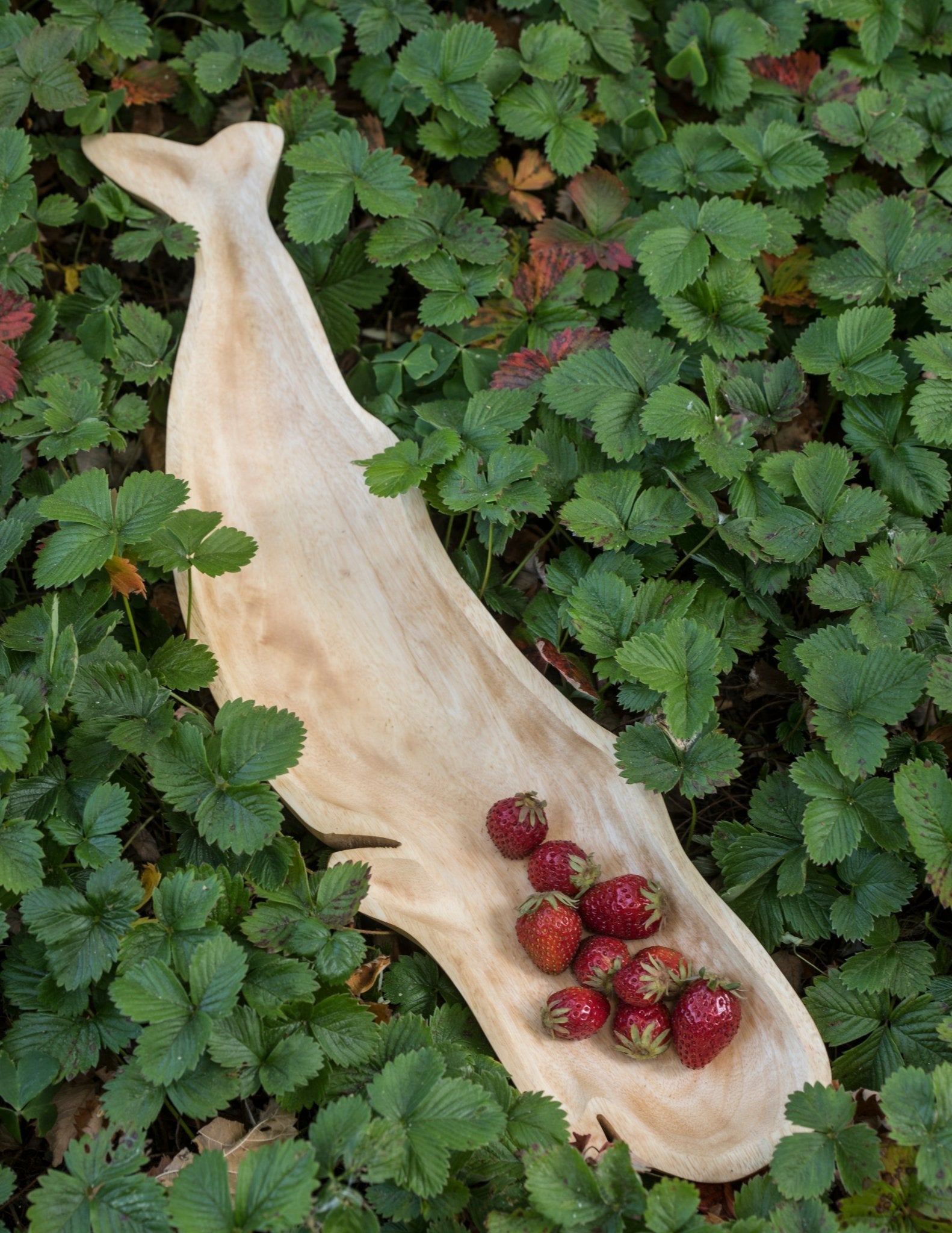 Kiln Mango Wood Whale Dish - Che Cose Belle