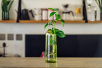 Kilua Vase - Che Cose Belle