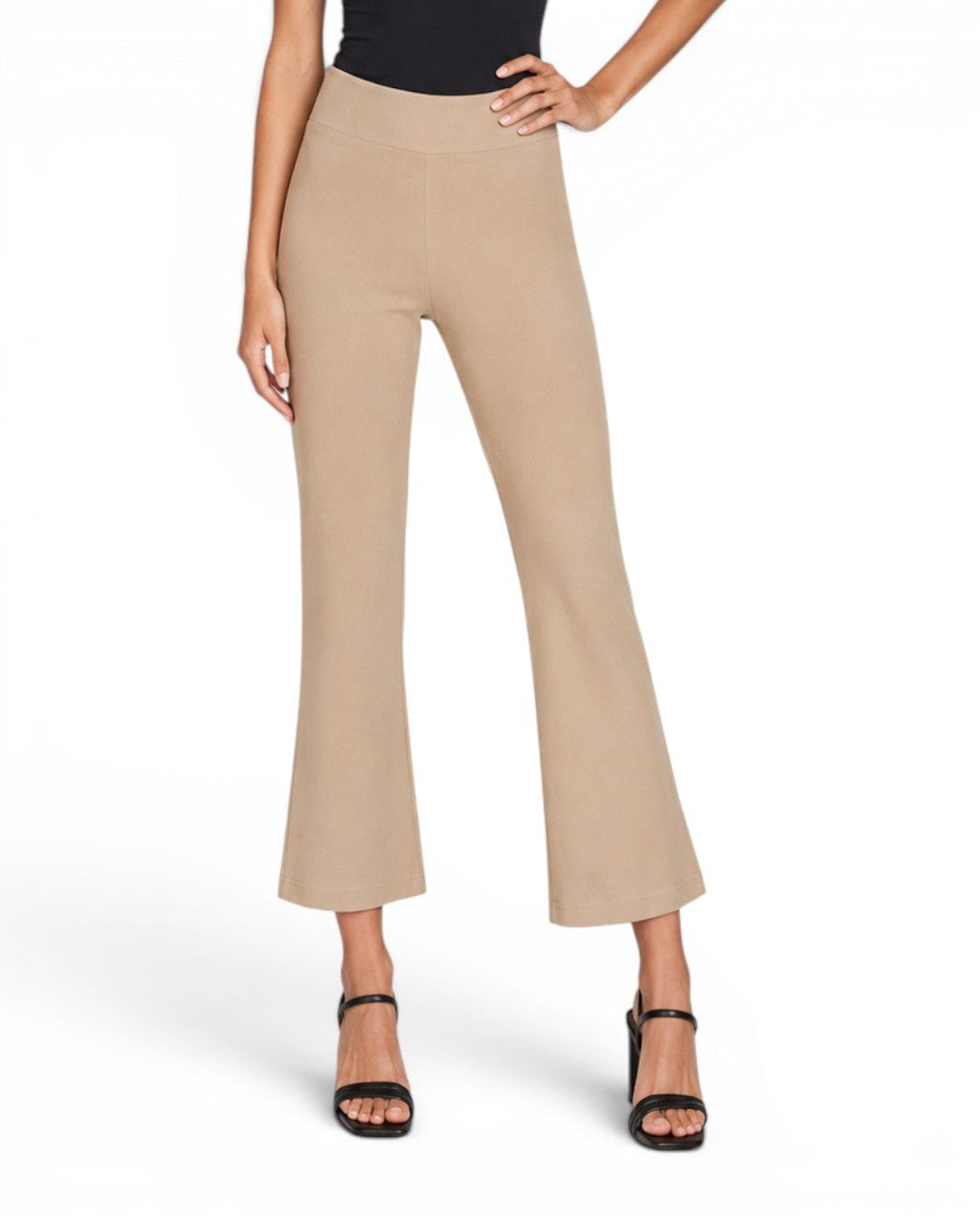 Krazy Larry P600 Pull on Wide Ankle Pant - Taupe - Che Cose Belle