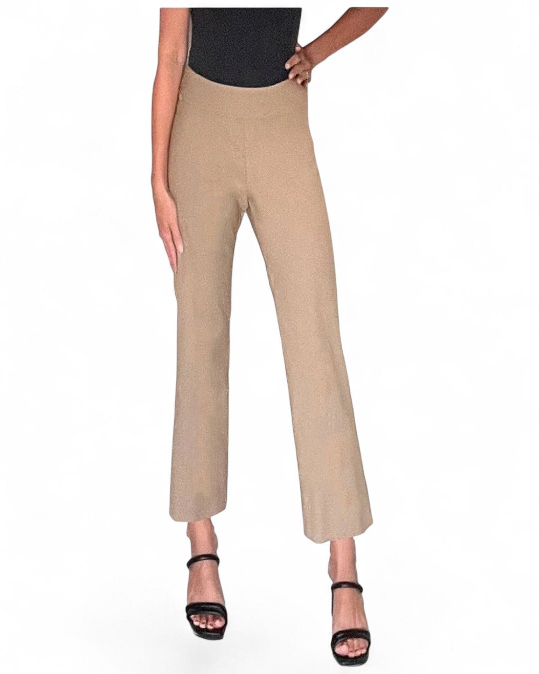 Krazy Larry P600 Pull on Wide Ankle Pant - Taupe - Che Cose Belle