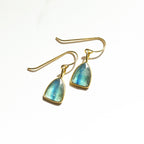 Kyanite Shield Rose Cut Earrings - Che Cose Belle